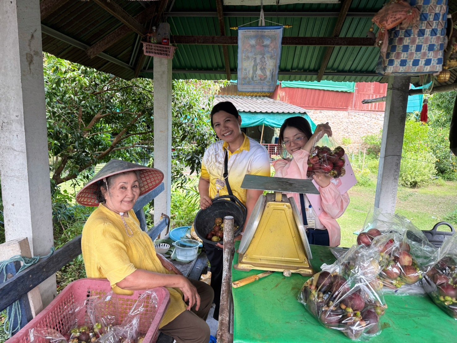 ผู้อำนวยการศูนย์สารสนเทศการเกษตร มอบหมายให้เจ้าหน้าที่ส่วนสารสนเทศการผลิตพืชสวน ลงพื้นที่ปฏิบัติราชการเพื่อติดตามสถานการณ์การผลิตมังคุด ปี 2568 ในพื้นที่จังหวัดนครนายก เเละจังหวัดปราจีนบุรี