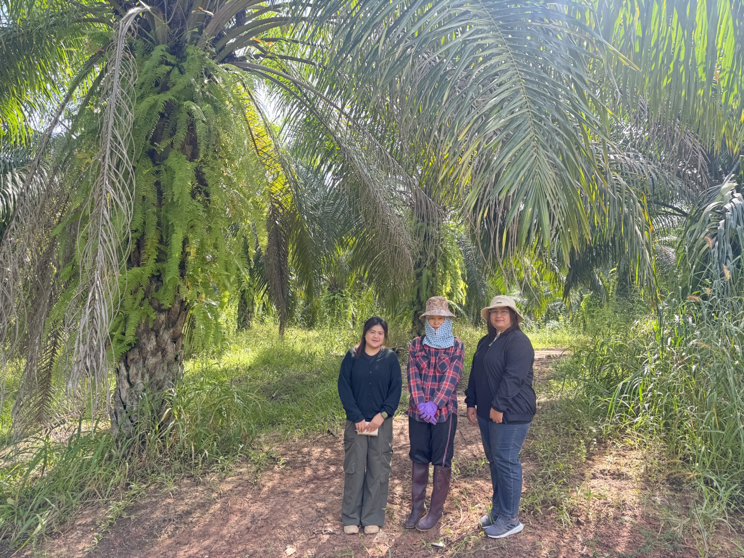 ดร.กฤช เอี่ยมฐานนท์ ผู้อำนวยการศูนย์สารสนเทศการเกษตร มอบหมายให้ส่วนภูมิสารสนเทศการเกษตร ลงพื้นที่สำรวจเพื่อจัดเก็บค่าพิกัดสำหรับใช้ประกอบการแปลวิเคราะห์เนื้อที่ยืนต้นปาล์มน้ำมัน ปี 2568 ในพื้นที่จังหวัดเชียงใหม่ พะเยา น่าน และแพร่