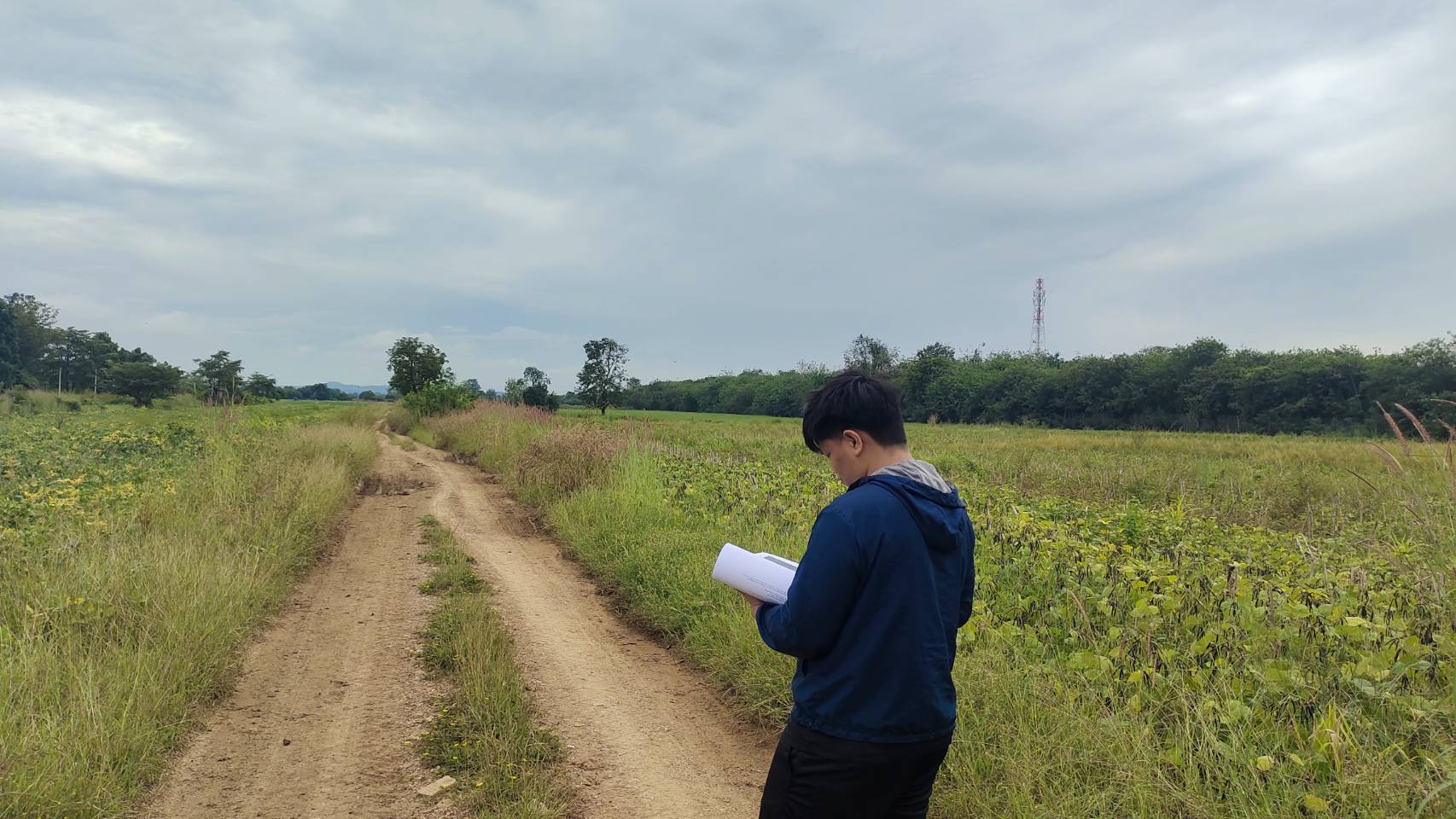 ดร.กฤช เอี่ยมฐานนท์ ผู้อำนวยการศูนย์สารสนเทศการเกษตร ได้มอบหมายให้ส่วนภูมิสารสนเทศการเกษตรดำเนินการลงพื้นที่สำรวจการเพาะปลูกพืชเศรษฐกิจสำคัญ