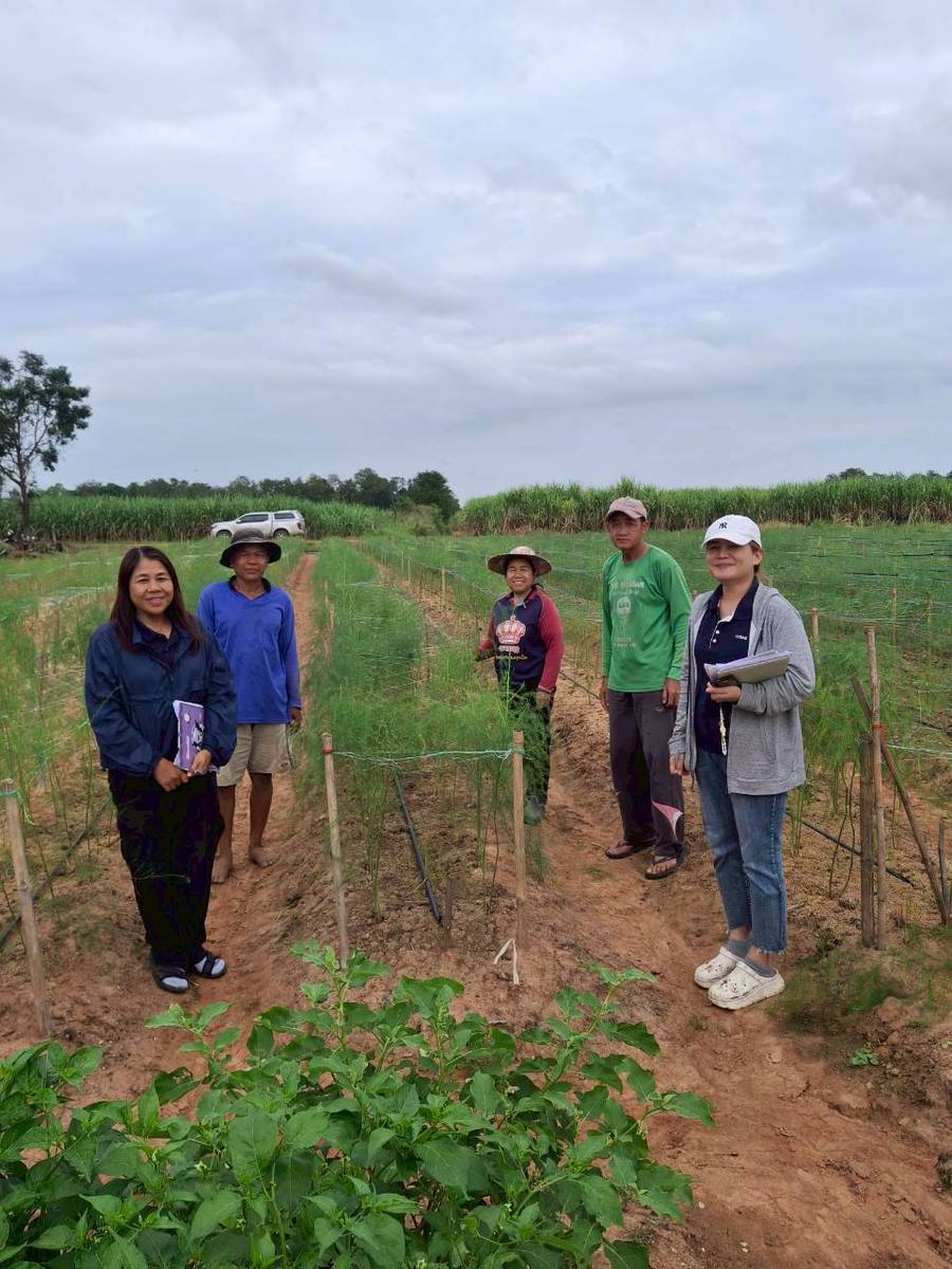 ดร.กฤช เอี่ยมฐานนท์ ผู้อำนวยการศูนย์สารสนเทศการเกษตร มอบหมายให้เจ้าหน้าที่ส่วนสารสนเทศการผลิตพืชสวน ลงพื้นที่ปฏิบัติราชการเพื่อติดตามสถานการณ์การผลิตมะนาว ส้มเขียวหวาน และหน่อไม้ฝรั่ง ปี 2568 ในพื้นที่จังหวัดเพชรบูรณ์ เลย ขอนแก่น และชัยภูมิ