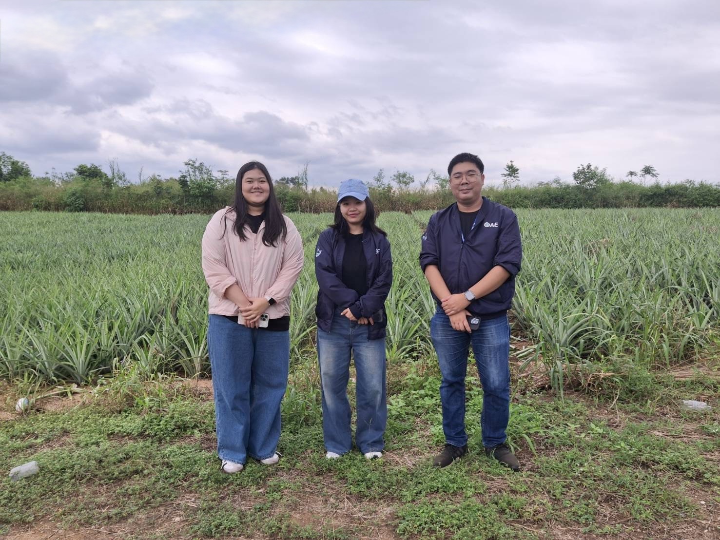 ดร.กฤช เอี่ยมฐานนท์ ผู้อำนวยการศูนย์สารสนเทศการเกษตร มอบหมายให้ส่วนภูมิสารสนเทศการเกษตร ลงพื้นที่ตรวจสอบและจัดเก็บค่าพิกัดเนื้อที่เพาะปลูกสับปะรด ปี 2568 ในพื้นที่จังหวัดราชบุรี กาญจนบุรี และอุทัยธานี ในเขตพื้นที่รับผิดชอบของสำนักงานเศรษฐกิจการเกษตรที่ 10 และ 12