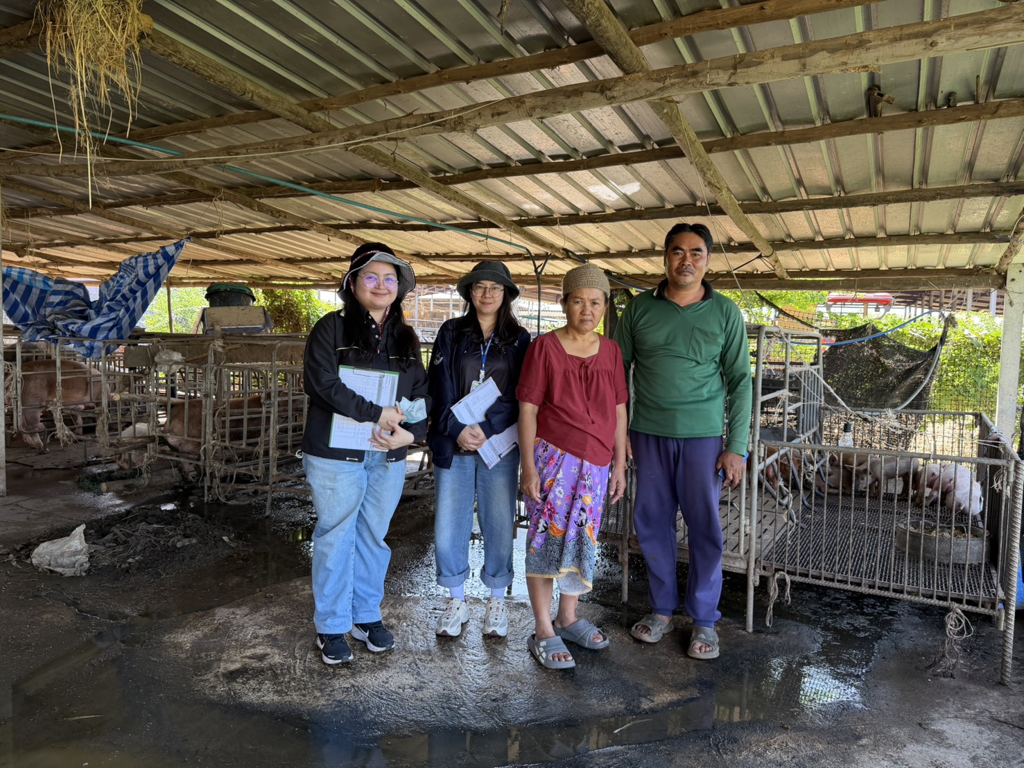 ดร.กฤช เอี่ยมฐานนท์ อำนวยการศูนย์สารสนเทศการเกษตร มอบหมายให้ส่วนสารสนเทศปัจจัยการผลิตและราคา ลงพื้นที่ติดตามและตรวจสอบข้อมูลราคาสุกร ปี 2568