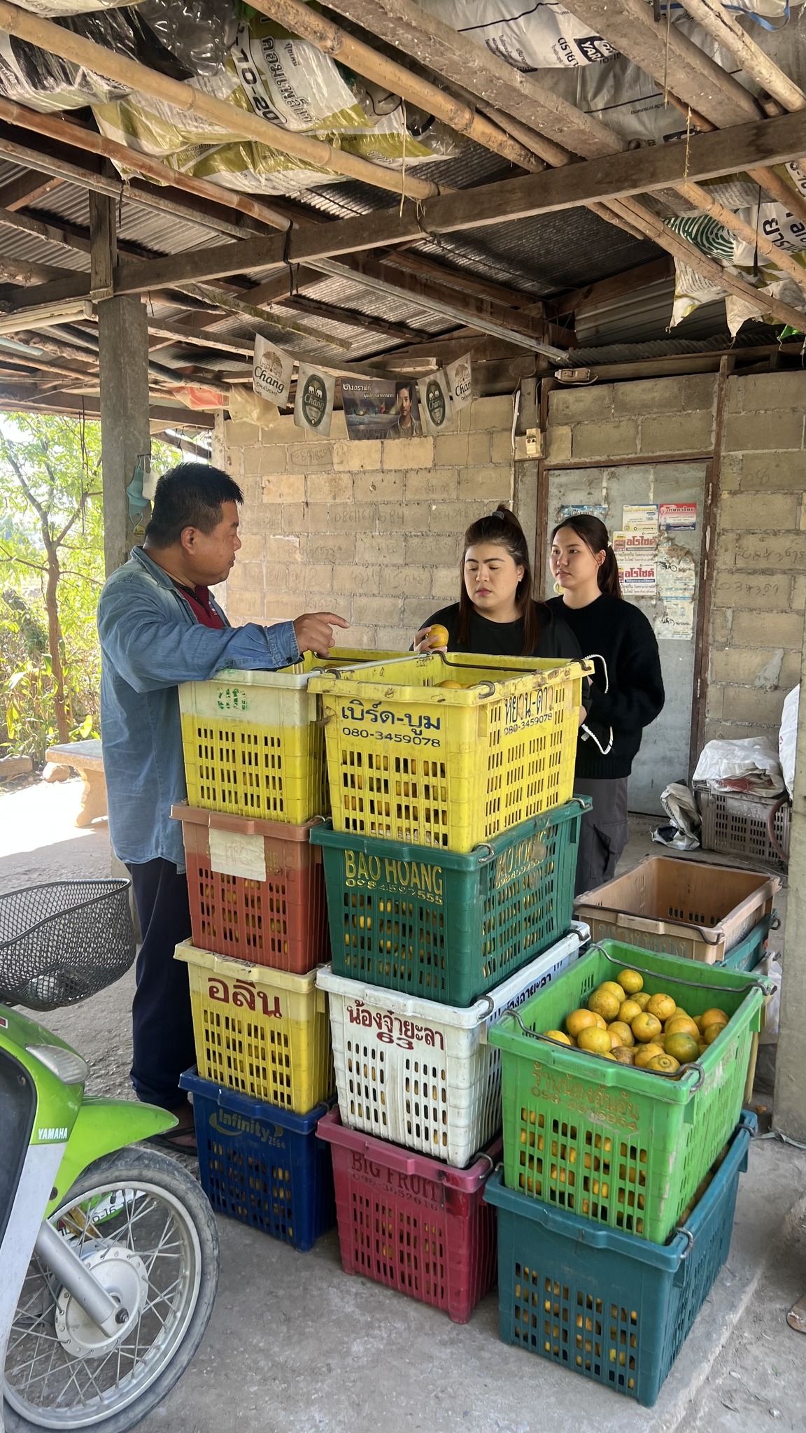 ศูนย์สารสนเทศการเกษตร ปฏิบัติราชการต่างจังหวัด เพื่อสำรวจในการจัดเก็บค่าพิกัดเนื้อที่ยืนต้นส้มเขียวหวาน สำหรับใช้ในการแปลวิเคราะห์เนื้อที่ยืนต้นส้มเขียวหวาน ปี 2568 ด้วยเทคโนโลยีภูมิสารสนเทศ (Geo-Informatics)