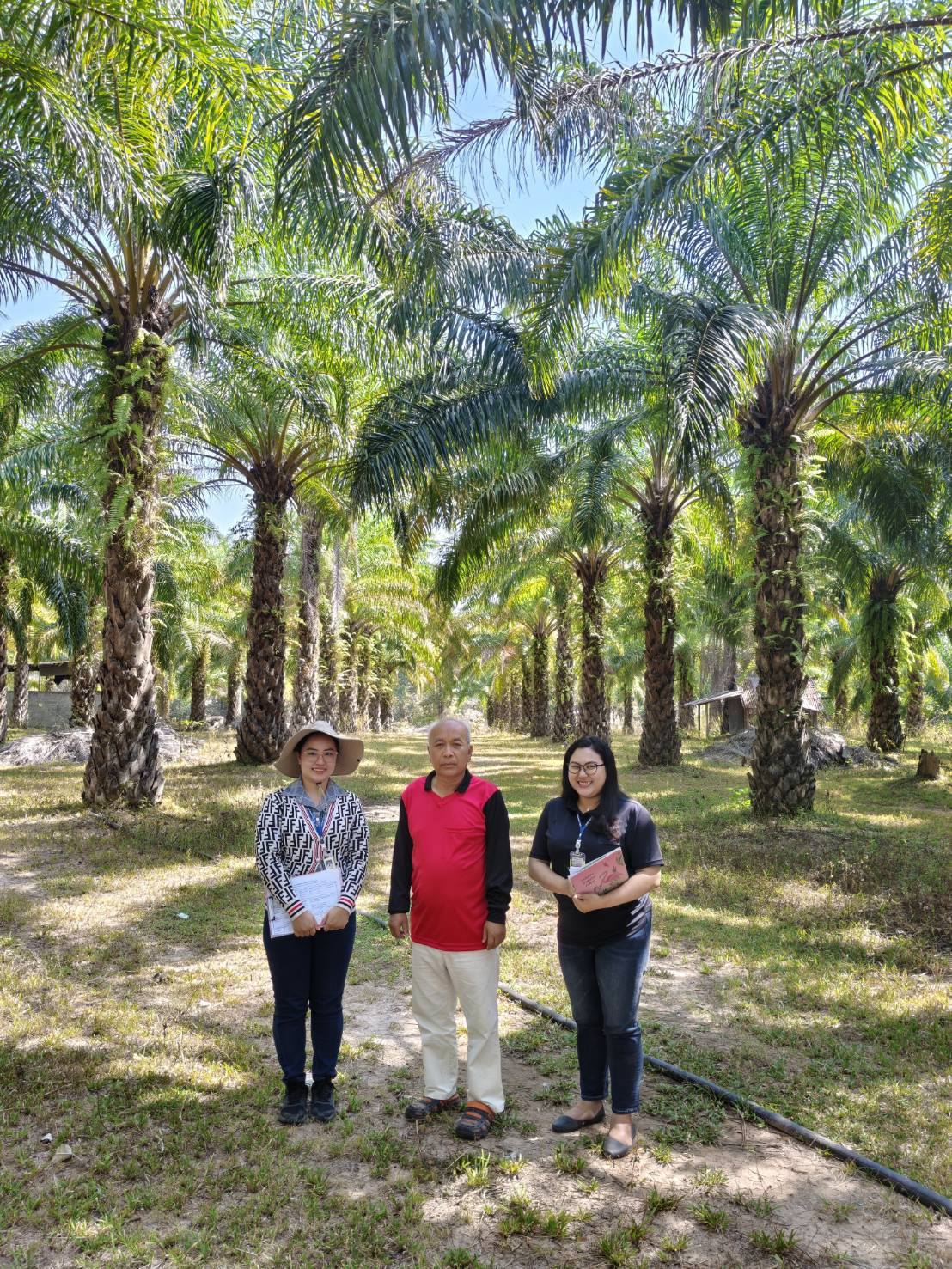 Dr. Krit Iemthanon (Ph.D.), Director of the Center for Agricultural Information, assigned the Production Cost and Price Information Division to conduct fieldwork for data collection on oil palm production costs for 2025 and changes in labor wages and prices of crop production factors of Cassava and Para Rubber in 2026.