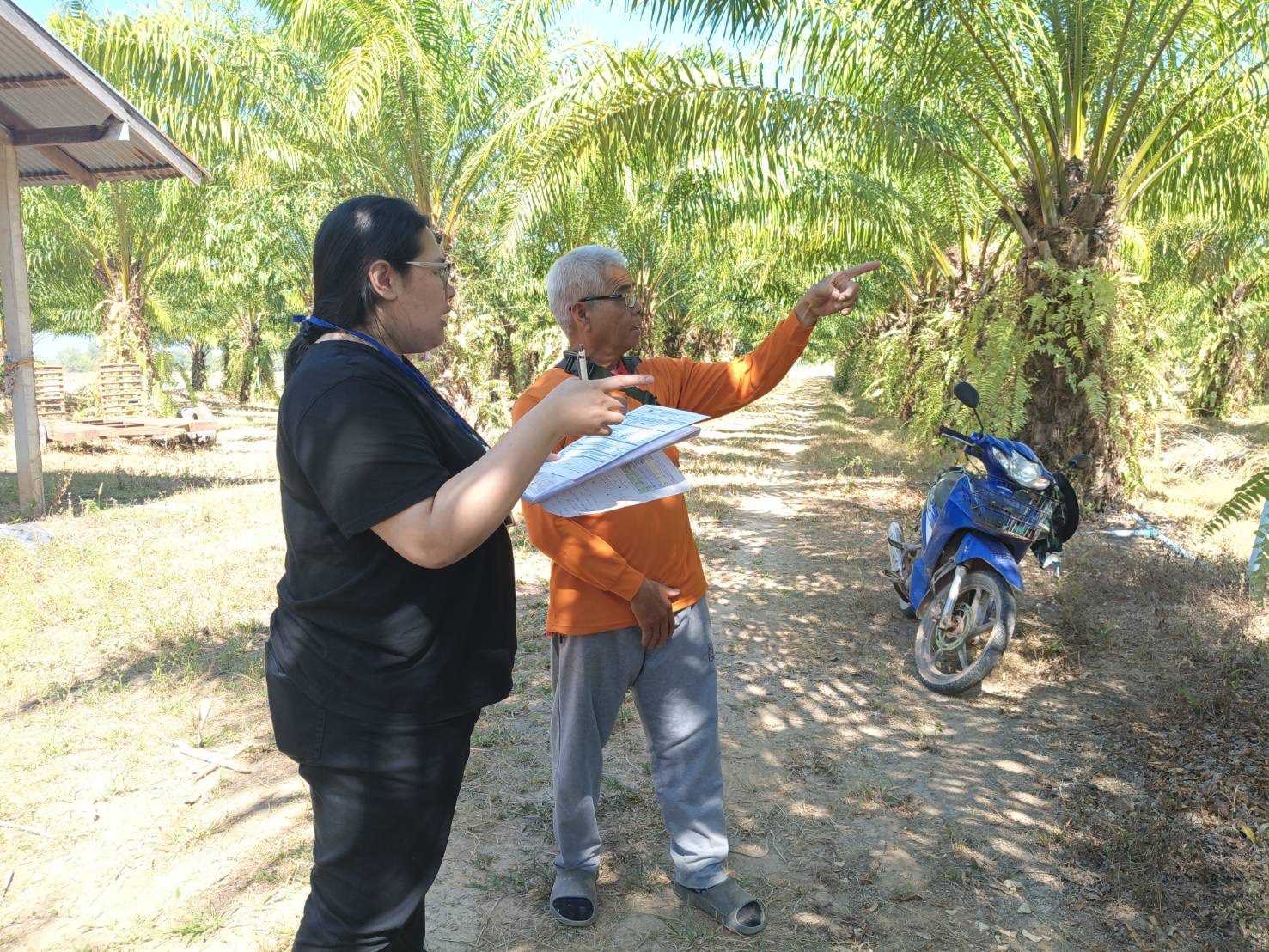 Dr. Krit Iamthanont, Director of the Center for Agricultural Information, assigned officers from the Horticultural Crop Production Information Division, led by Ms. Kamonpan Soodtoetong and Ms. Monpat Amket to conduct field operations to monitor the production situation of Oil palm for the 2025 and Coffee for the 2026 crop year in Bueng Kan, Nong Khai and Udon Thani provinces. During 2-7 February 2026.