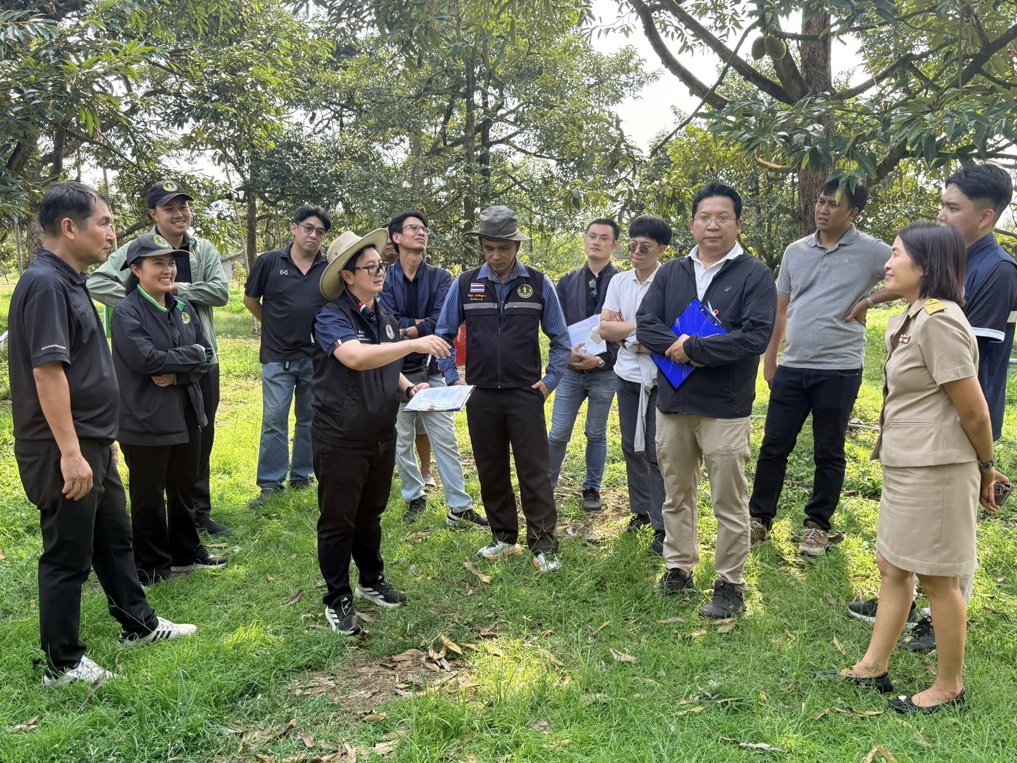 The Office of Agricultural Economics Region 6 and the Agricultural Information Center jointly integrated efforts with the Office of Agricultural Extension and Development Region 3 to conduct a field test of the guidelines and procedures for surveying durian yield per rai using the Crop Cutting method in combination with farm accounting in Chanthaburi Province.