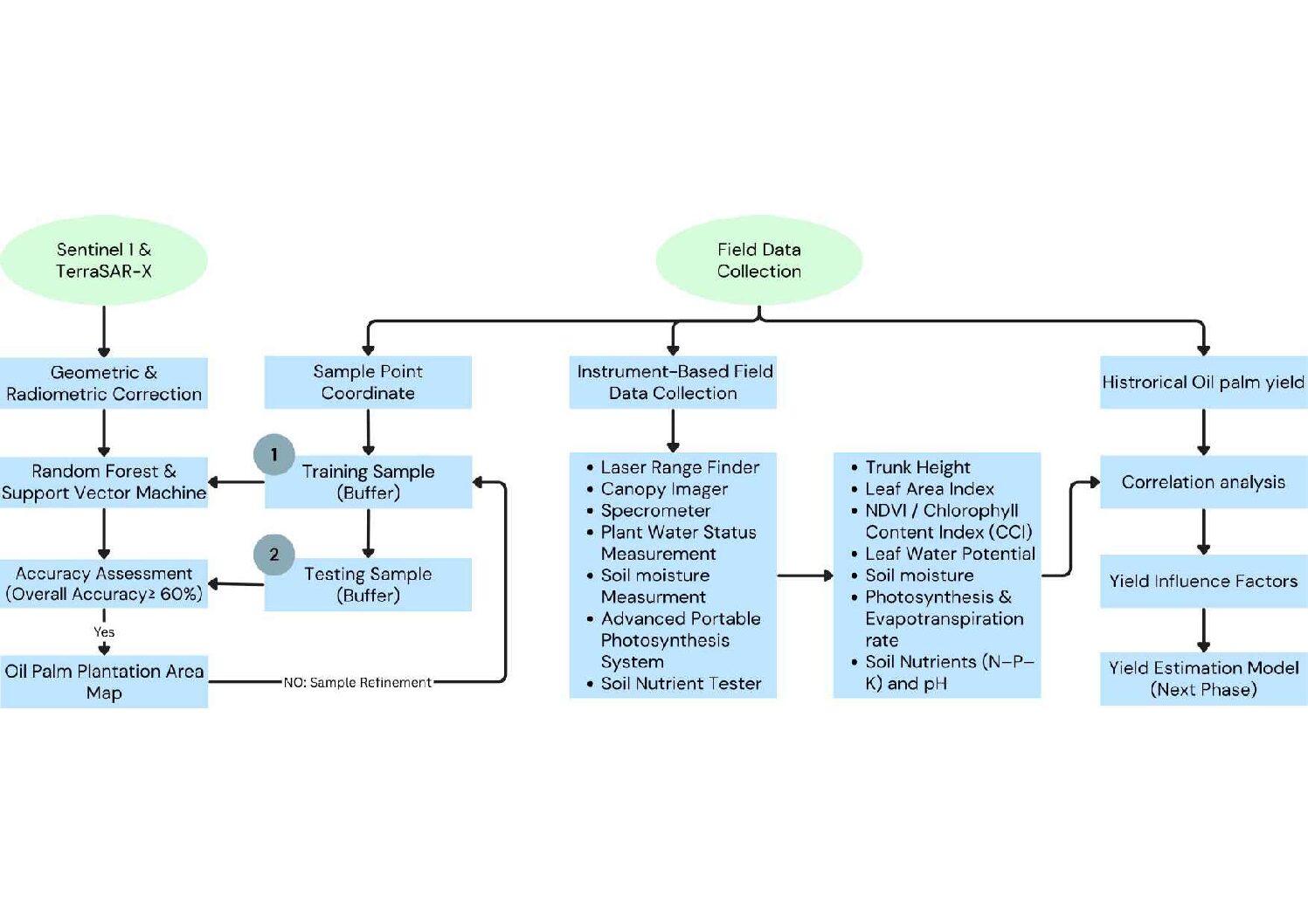 Flow Chart AI palm workflow จัดทำโดย (สภท.)