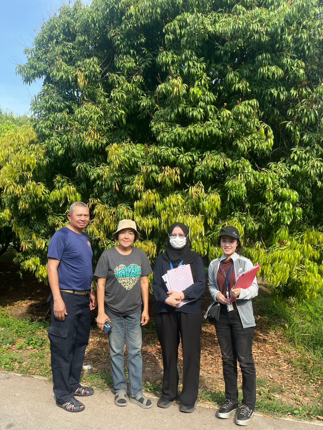 Dr. Krit Iamthanont, Director of the Center for Agricultural Information, assigned officers from the Horticultural Crop Production Information Division, led by Ms. Prapai Janklin and Ms. Monpat Amket to conduct the 2026 Thai Geographical Indication Agricultural product pilot survey, namely Nakonchaisri Pomelo, Banphaeo Phuang Thong Longan, Samutsongkhram Kom Lychee and Thong Pha Phum Durian in Nakhon Pathom,Samut Sakhon,Samut Songkhram and Kanchanaburi provinces.