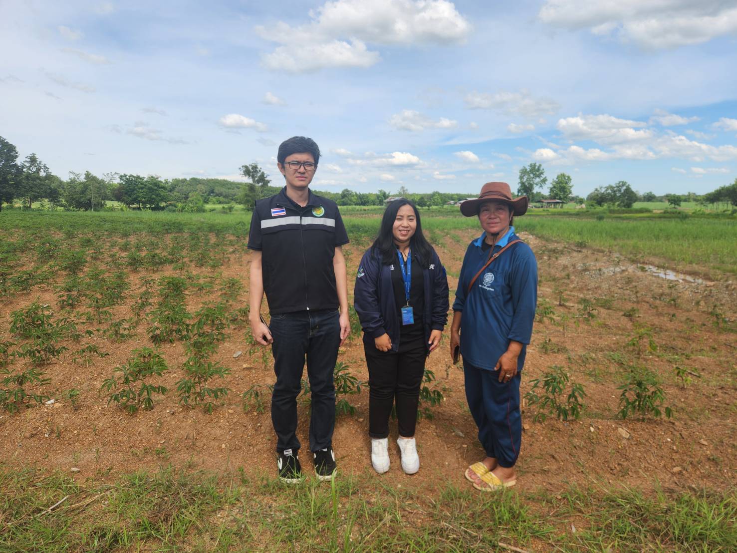Center for Agricultural Information to survey the production situation of Casava and Pineapple in the year 2026