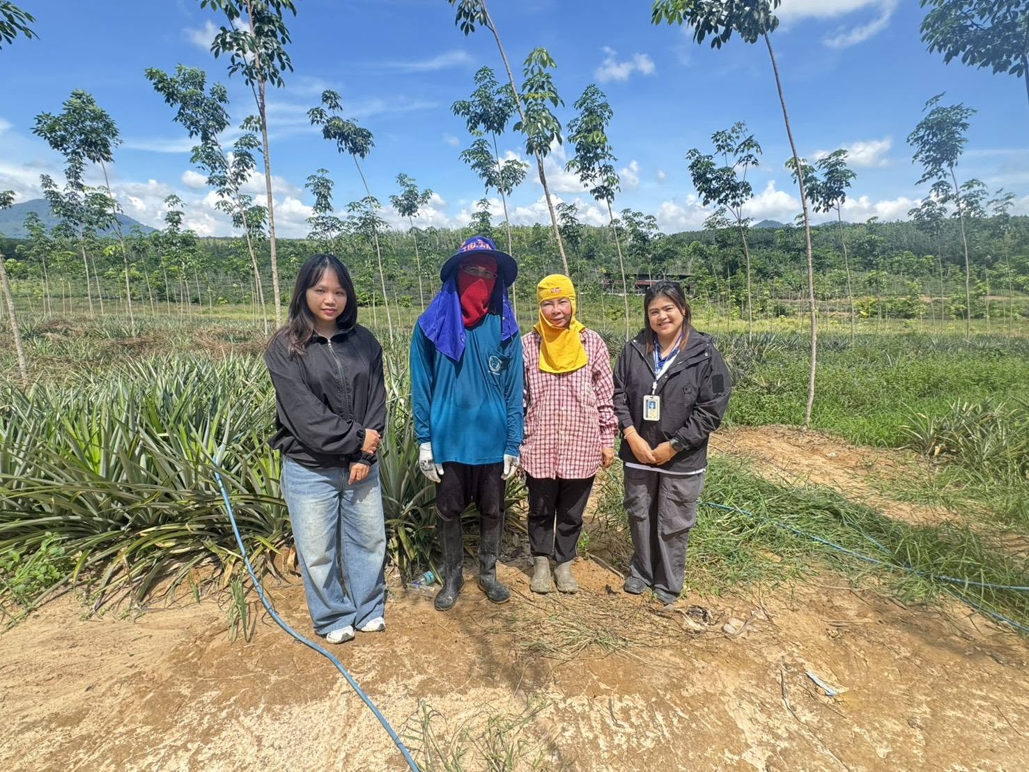 Centre for Agricultural Information on pineapple field survey during 18th – 27th June 2026. The main objective of this field survey is verifying the overall accuracy of the 2026 pineapple planting area classification and analysis with amount 70 sample plots.