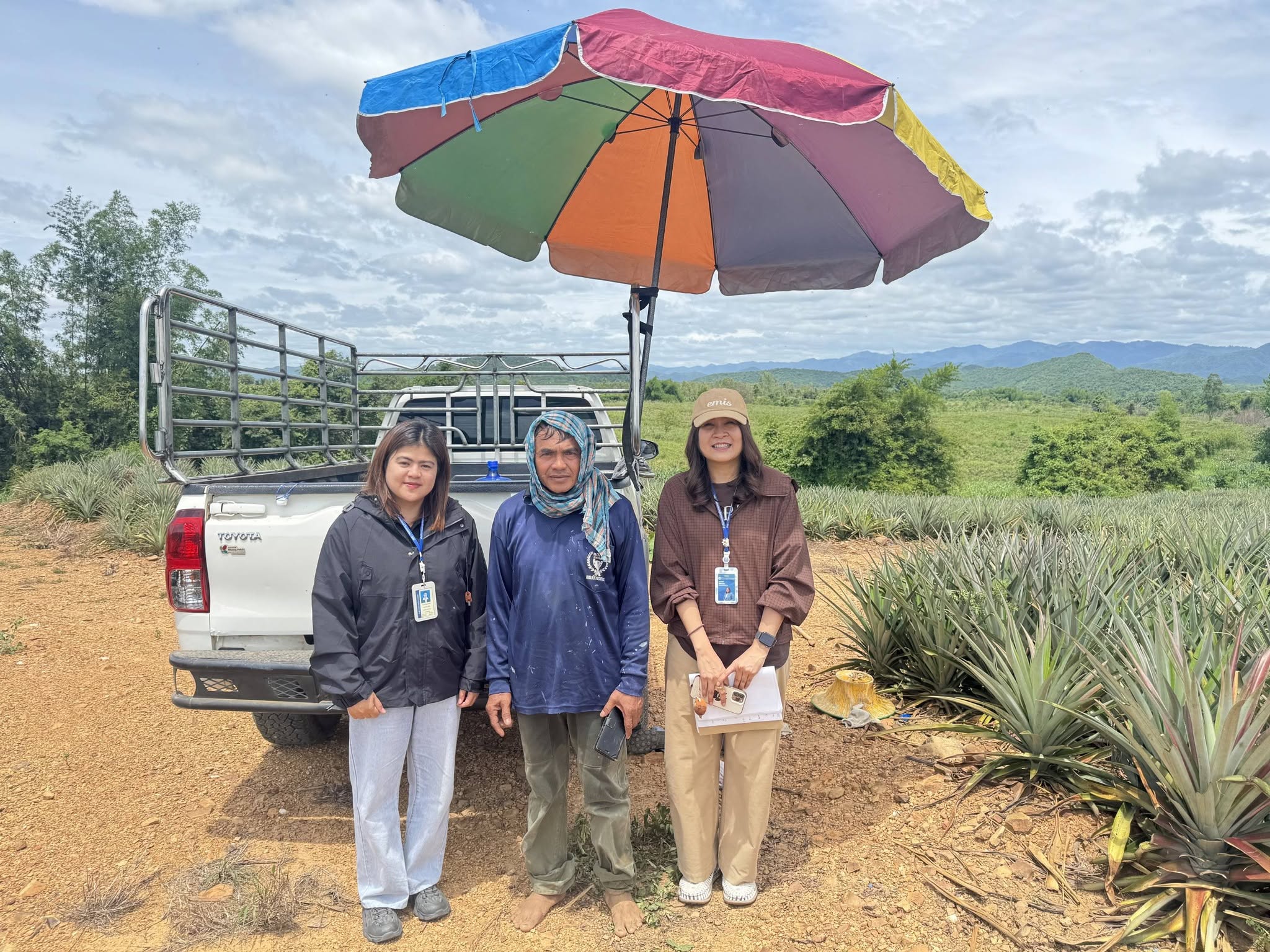 The Centre for Agricultural Information is conducting a field survey to verify the overall accuracy of the 2026 pineapple planting area classification and analysis.