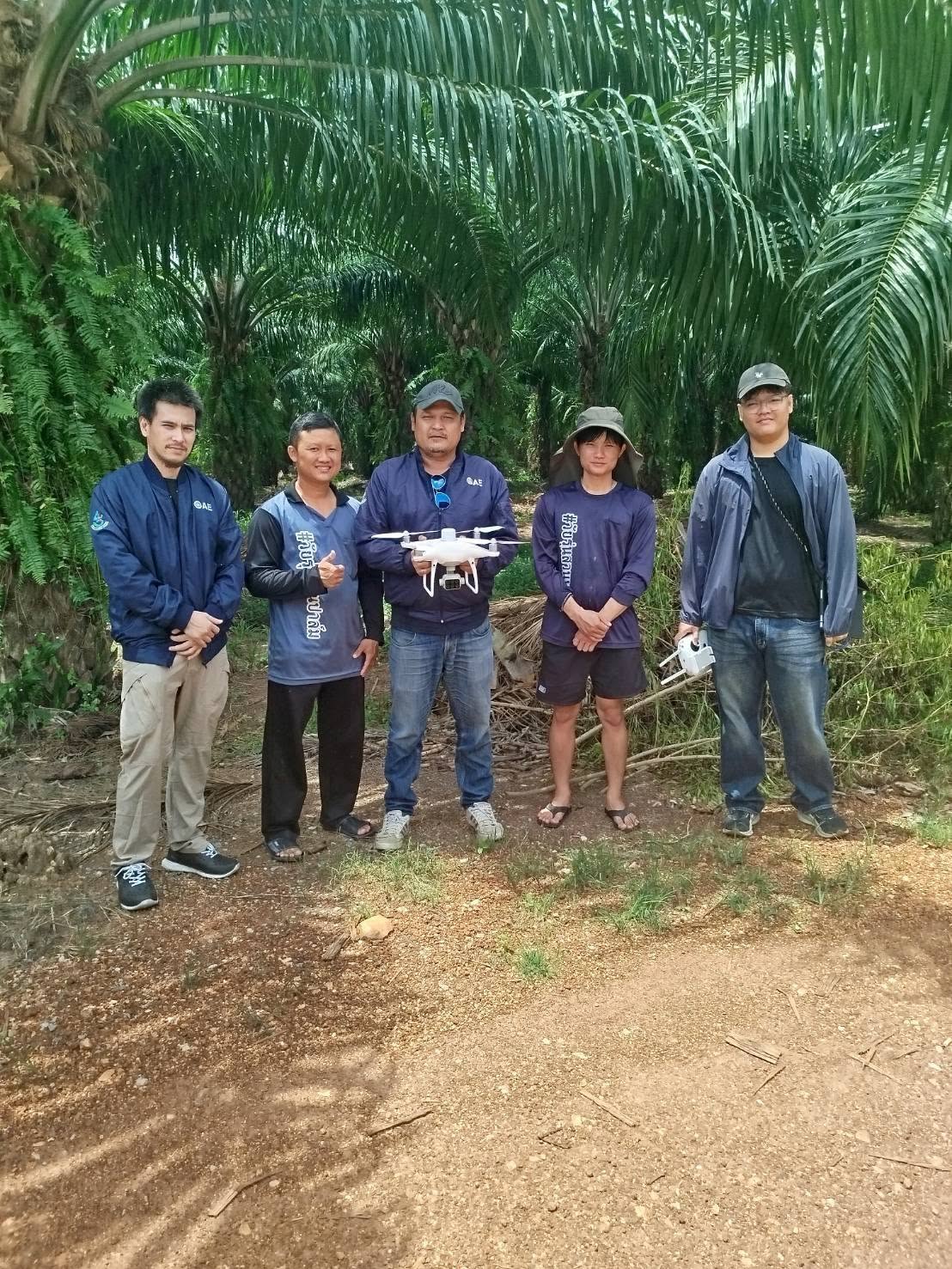 CAI Deploys Drones to Survey Oil Palm Plantations in Chon Buri, Advancing Yield Forecasting