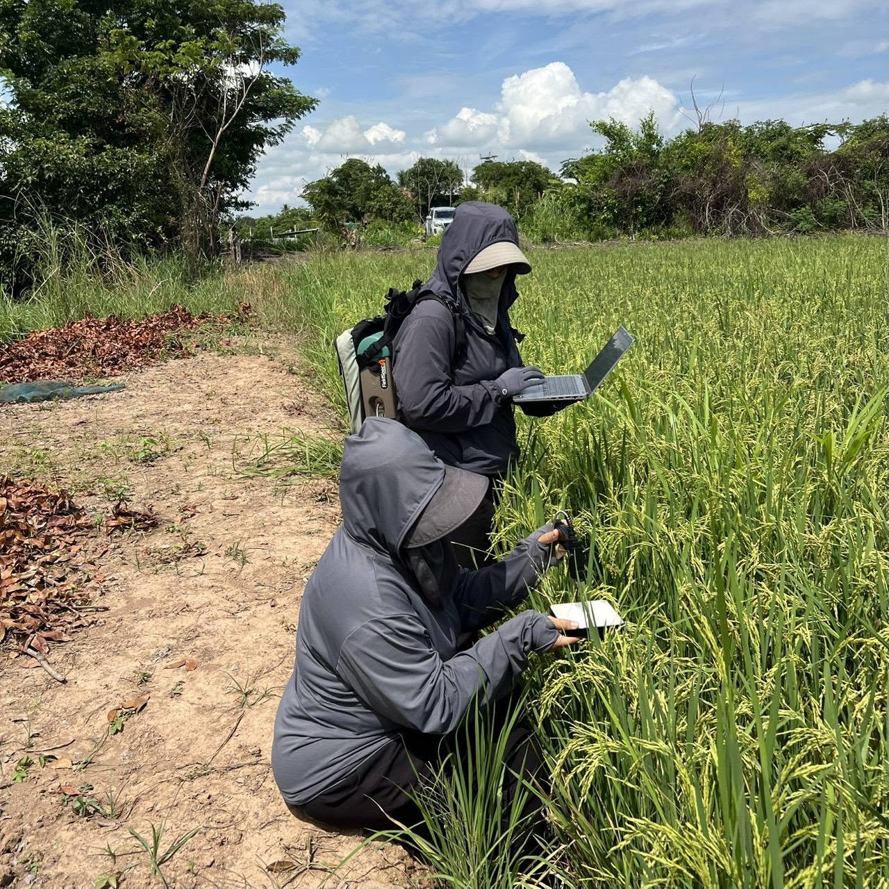 Center for Agricultural Information (CAI) to field survey in Phichit province. The objective of this activity is supporting the “Applying Geo-Informatics for Agricultural Yield Forecasts and Spatial Data Management” under the project of “Enhancing the efficiency of agricultural information preparation and big data management” in 2026
