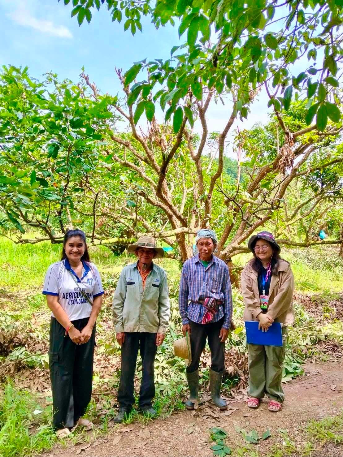 Center for Agricultural Information to conduct fieldwork to collect data on changes in labor wage rates and production input prices of coffee, lychee and longan for 2026.